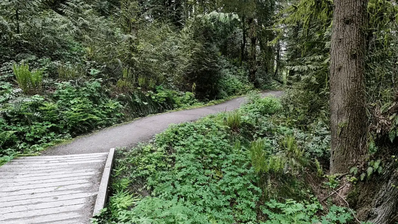 Forest Park Portland, OR